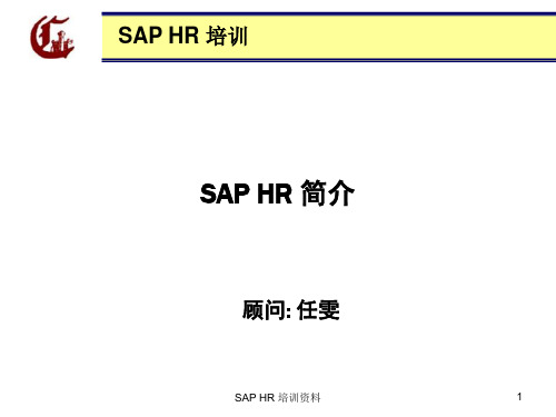 NO.1 SAP HR介绍