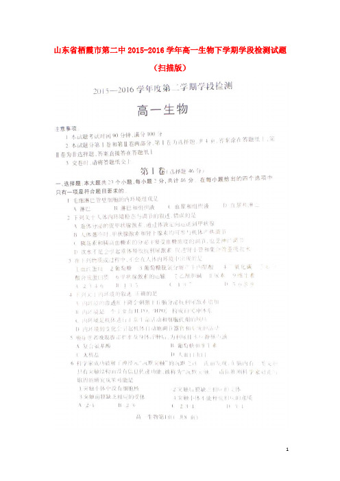 山东省栖霞市第二中高一生物下学期学段检测试题(扫描