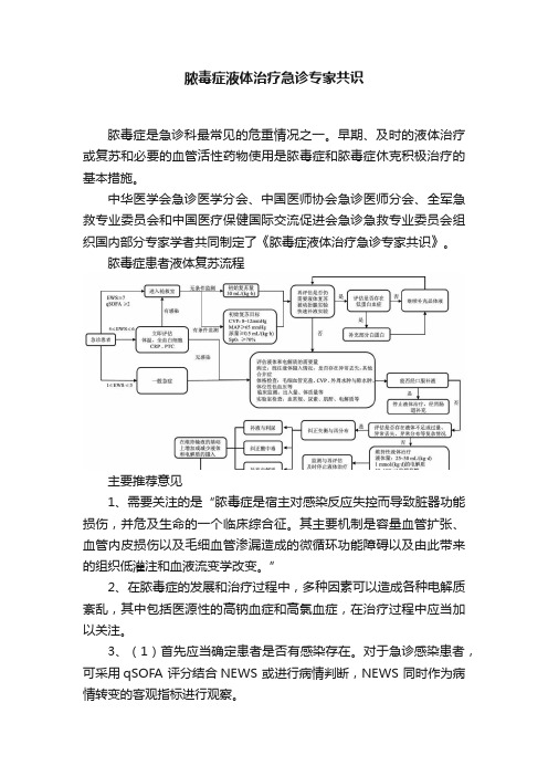 脓毒症液体治疗急诊专家共识