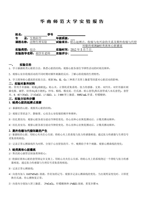 蛙心起搏点、期外收缩 代偿间歇  蛙心灌流