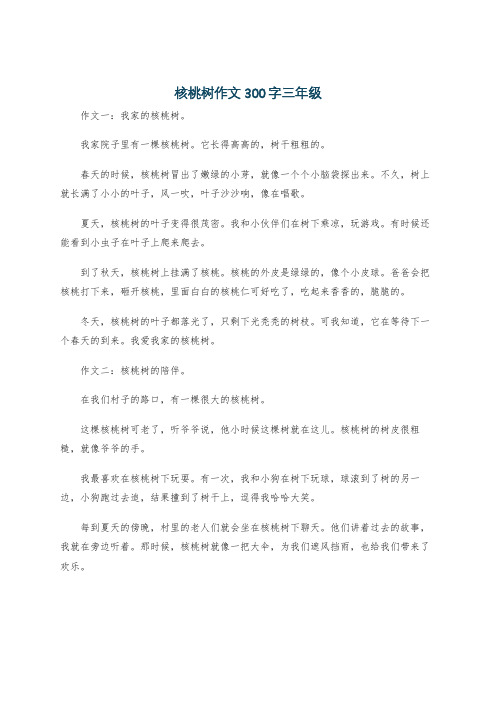 核桃树作文300字三年级