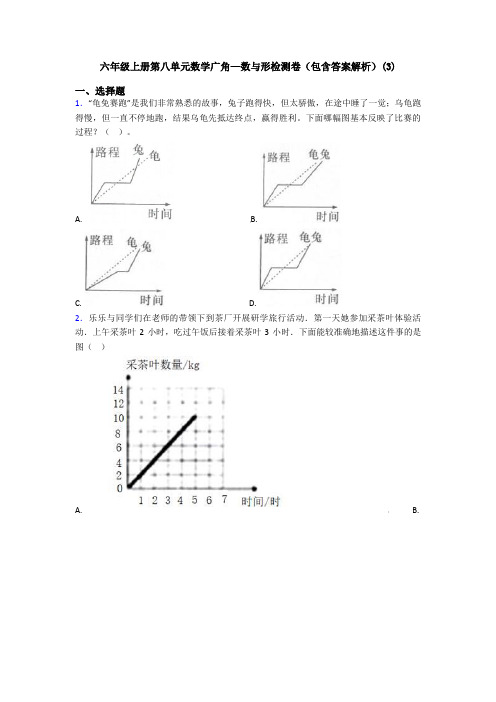 六年级上册第八单元数学广角—数与形检测卷(包含答案解析)(3)