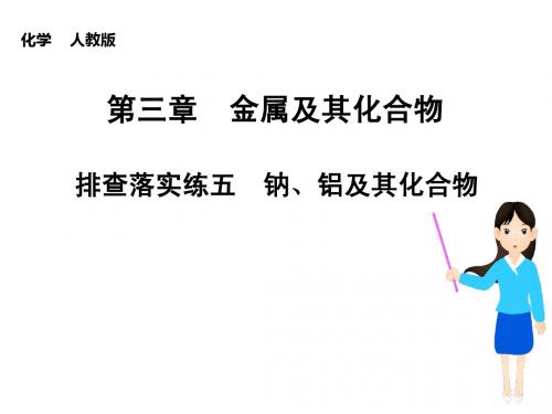 (新课标)2015届高考化学大一轮复习讲义 第三章 排查落实练五 钠、铝及其化合物课件