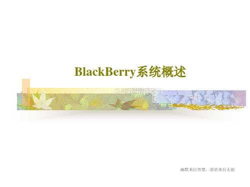 BlackBerry系统概述PPT文档共23页