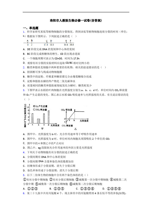 洛阳市人教版生物必修一试卷(含答案)