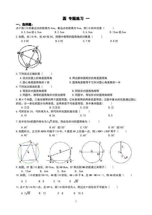 精品 九年级数学 中考专题 圆专题练习