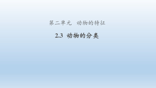 大象版科学三年级上册第二单元2.3《动物的分类》课件