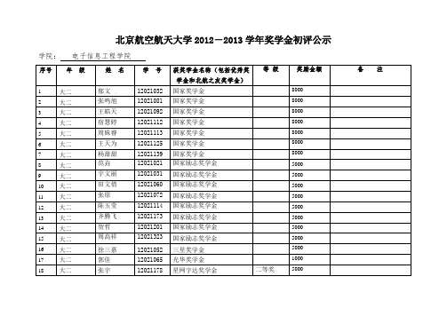 2013年奖学金公示单(学院专用)1102大班doc