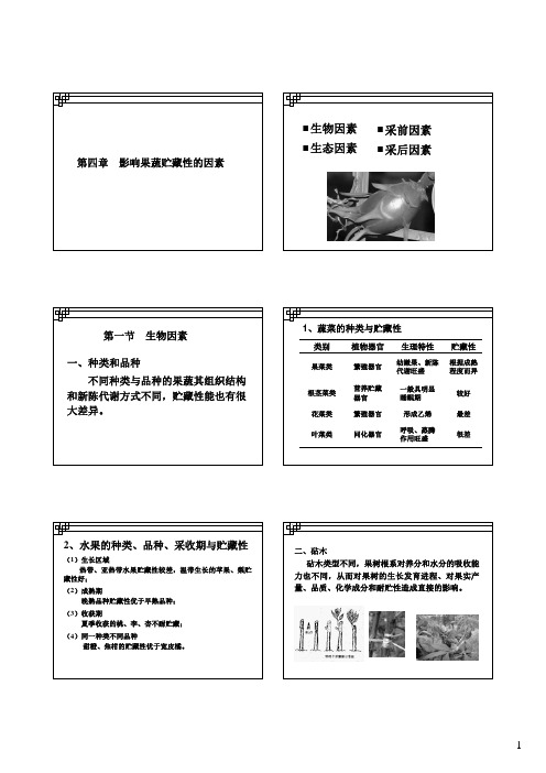 4-6采后处理、运输