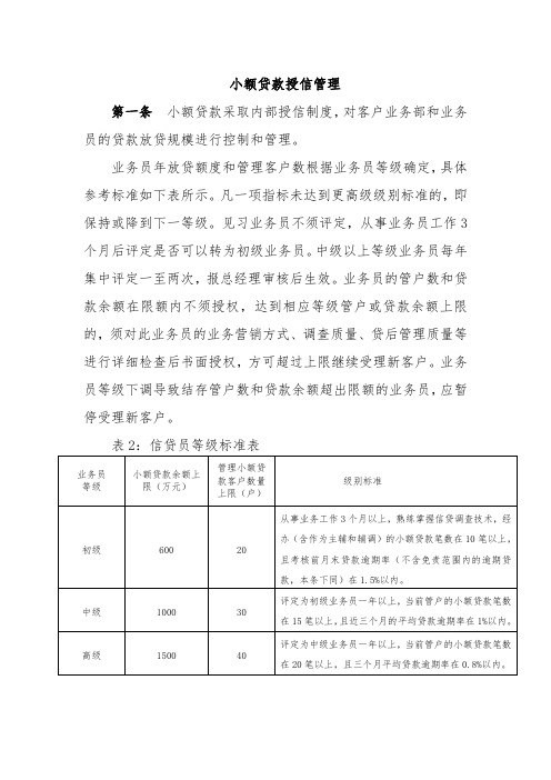 小额贷款授信管理