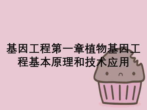 基因工程第一章植物基因工程基本原理和技术应用