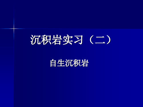 矿物学-10-11沉积岩实习