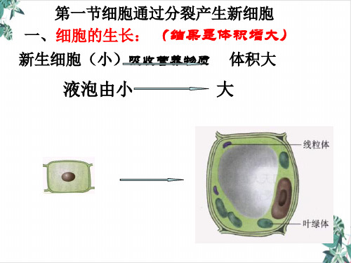 细胞通过分裂产生新细胞获奖课件PPT