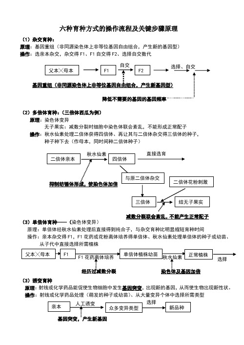 六种育种方式的操作流程及关键步骤原理