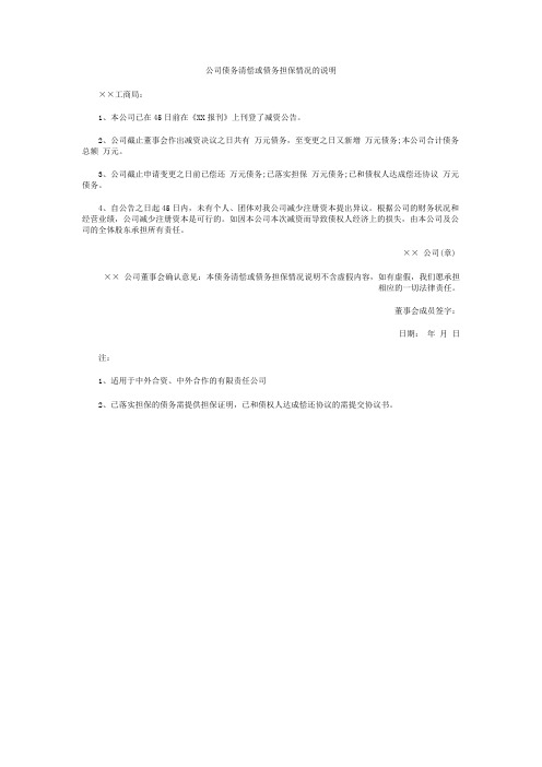 公司债务清偿或债务担保情况的说明