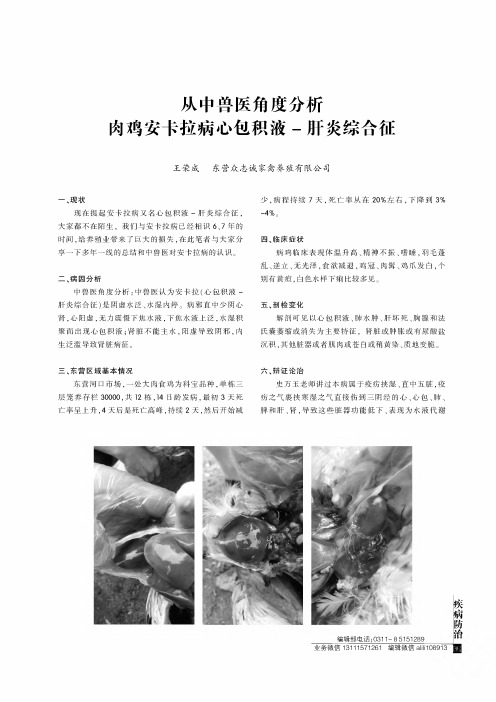 从中兽医角度分析肉鸡安卡拉病心包积液-肝炎综合征