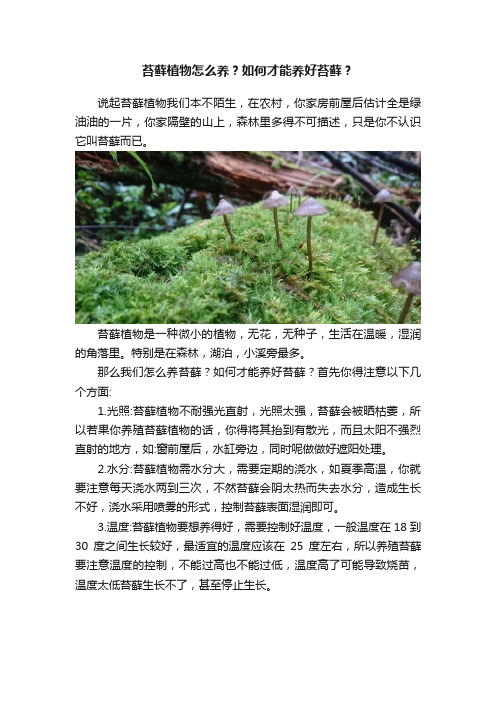 苔藓植物怎么养？如何才能养好苔藓？