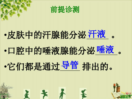 人教版七年级生物下册课件：.4 激素调节优质课件