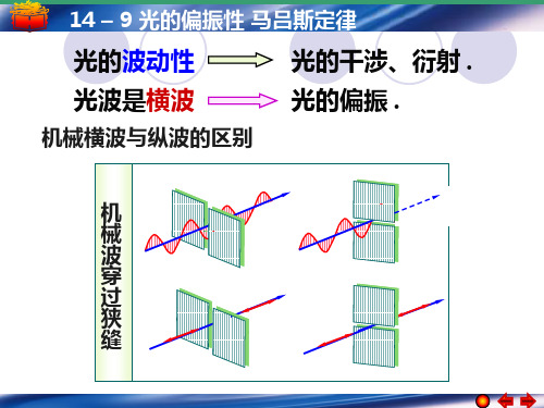 光的偏振性 马吕斯定律