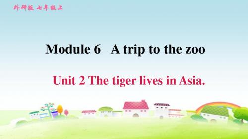 新外研版七年级英语上册 Module 6 Unit 2 The tiger lives in Asia.