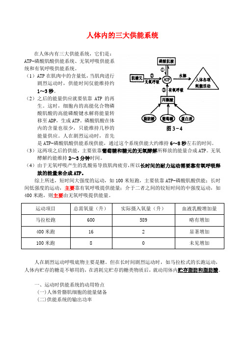 人体三大供能系统