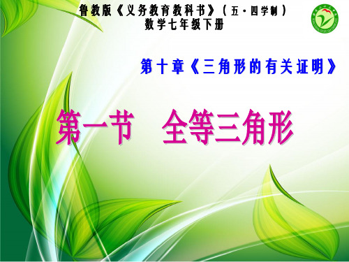 鲁教版义务教育教科书五四学制数学七年级下册