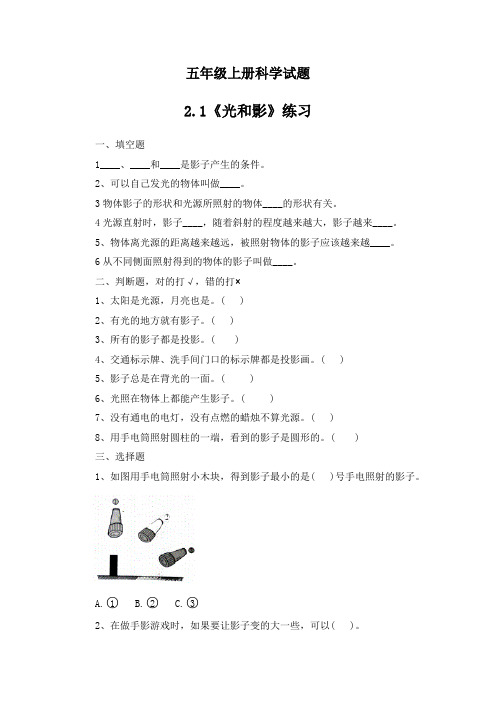 五年级上册科学试题-2.1光和影 教科版 含答案