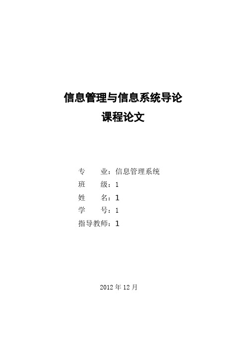 信息管理与信息系统导论