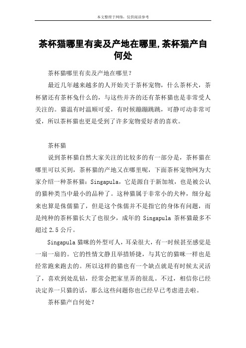 茶杯猫哪里有卖及产地在哪里,茶杯猫产自何处