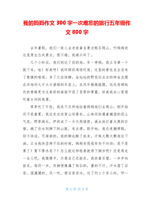 我的妈妈作文300字一次难忘的旅行五年级作文800字