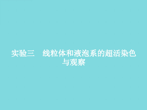 线粒体和液泡系的超活染色与观察(分析“染色”文档)共9张PPT