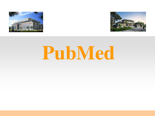 PubMed教程