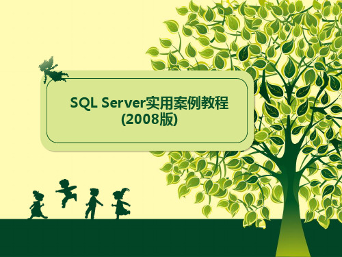 SQL Server 2008实用案例教程-2