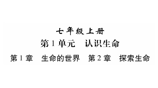中考生物总复习(北师大版)作业课件(图片版 含最新题):第1单元 认识生命(共28张PPT)