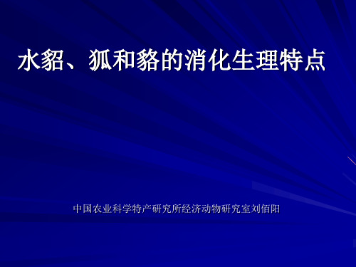 毛皮动物 消化生理特点