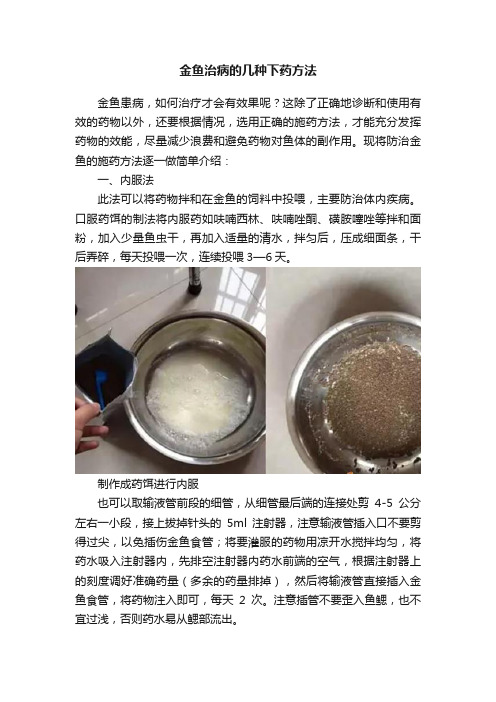 金鱼治病的几种下药方法