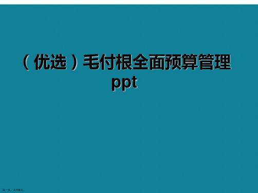 全面预算管理ppt详解.