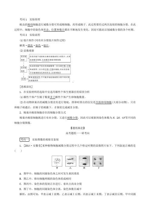 2020版高考生物一轮复习必考教材实验(九)——观察细胞减数分裂(生物 解析版)