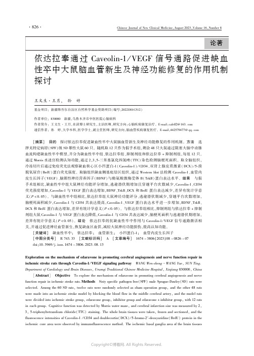 依达拉奉通过Ｃａｖｅｏｌｉｎ-１／_ＶＥＧＦ_信号通路促进缺血性卒中大鼠脑血管新生及神经功能修复的作