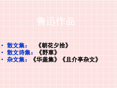 四川省大英县育才中学人教版高一语文必修三课件2祝福(共25张PPT)