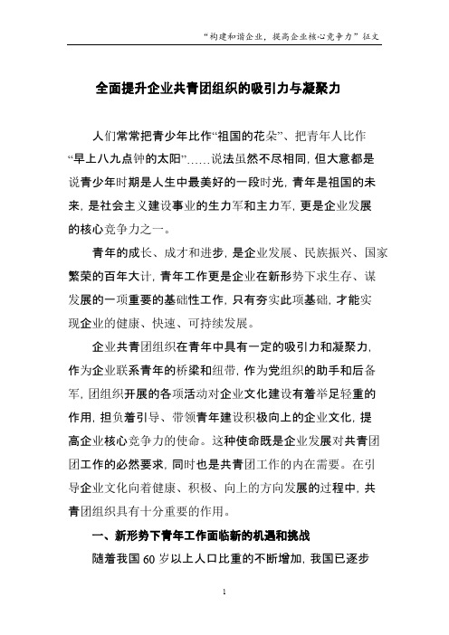 全面提升共青团组织的吸引力与凝聚力