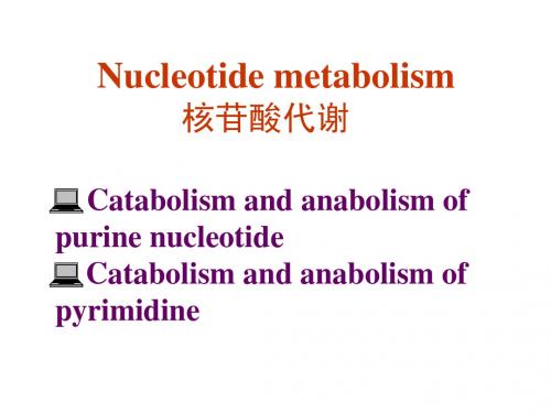 核苷酸代谢