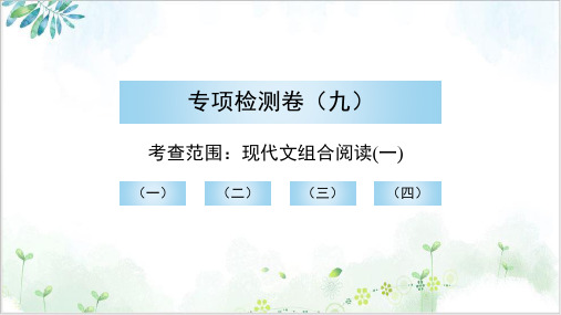 2022届专项检测卷课件(九)现代文组合阅读(一)中考语文总复习PPT精美课件