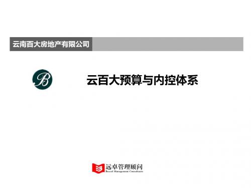 远卓——云南百大房地产有限公司预算和内控体系-PPT文档资料