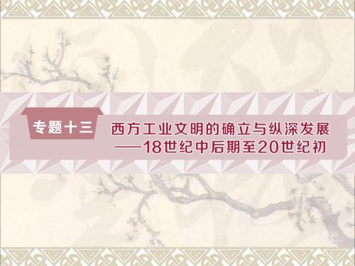 2019高考历史总复习13.1欧美代议制的扩展与科学社会主义理论课件