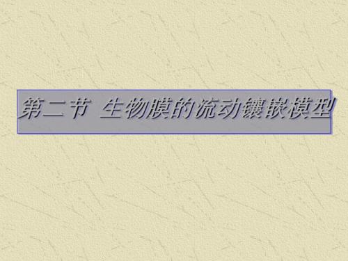 生物膜的流动镶嵌模型ppt25 优秀课件