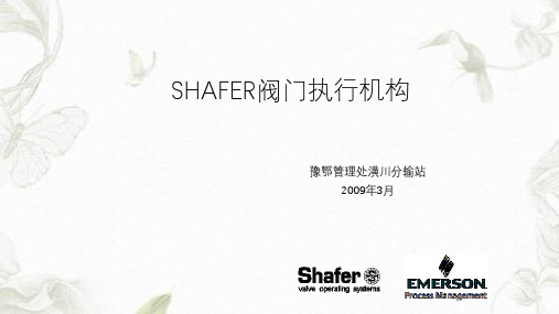 SHAFER气液联动阀执行机构学习课件