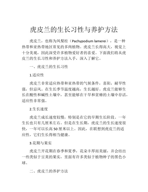 虎皮兰的生长习性与养护方法