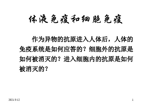 细胞免疫和体液免疫(2019年11月整理)PPT课件