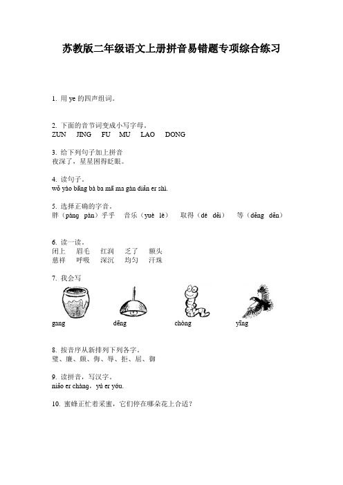 苏教版二年级语文上册拼音易错题专项综合练习